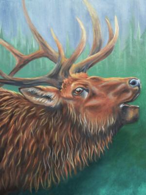 Elk Painting