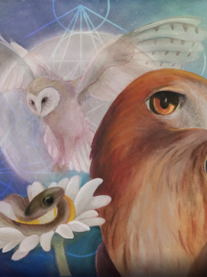 Artwork of Hawk, Owl and Snake